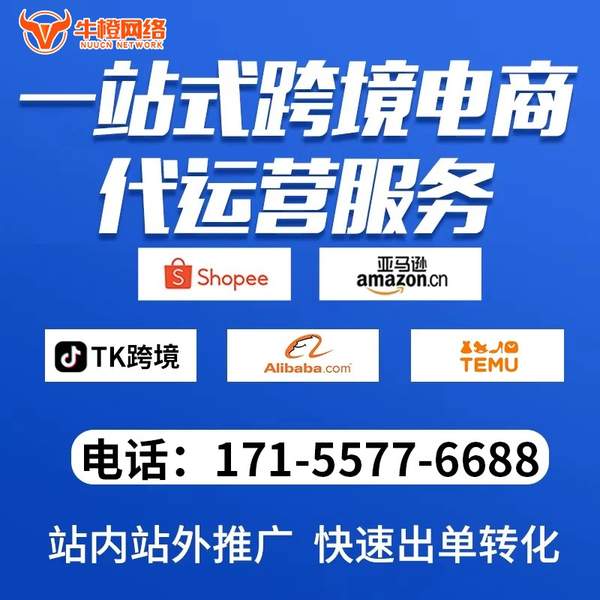 乌鲁木齐电商代运营